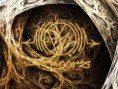 /album/wallpapers/papel-de-parede-rootz1-jpg/